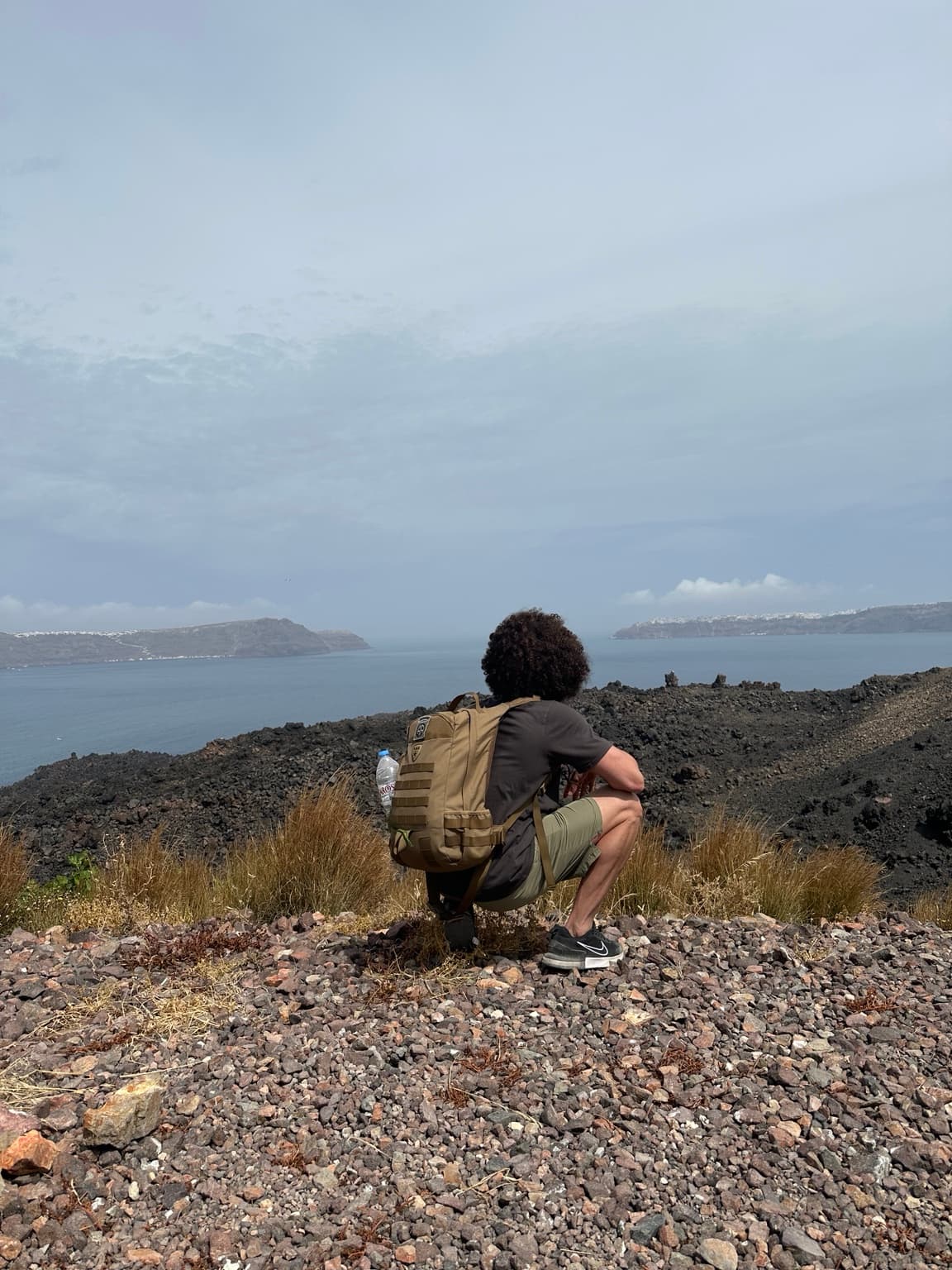 Ozzy overlooking the sea
